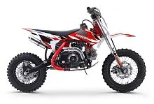 Мотоцикл Progasi KIDS POWER 110 (10/12)