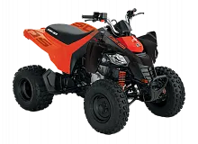 Квадроцикл BRP Can-Am DS 250 2021