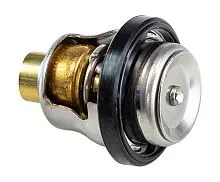 Термостат DT9.9-50/DF9.9-70 (60C)_PREMARINE