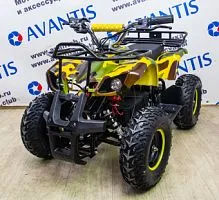 Снегоболотоход ATV Classic E 1000W